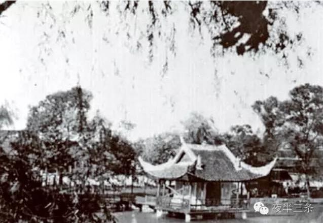 “紀念建黨95周年”：救國運動從夢草公園開始