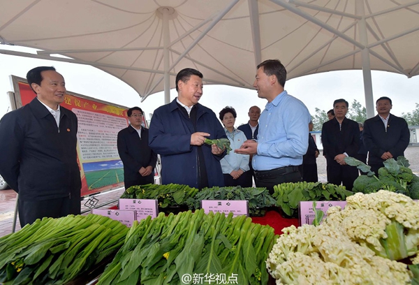 習(xí)近平：緬懷先烈、不忘初心，走好新的長征路