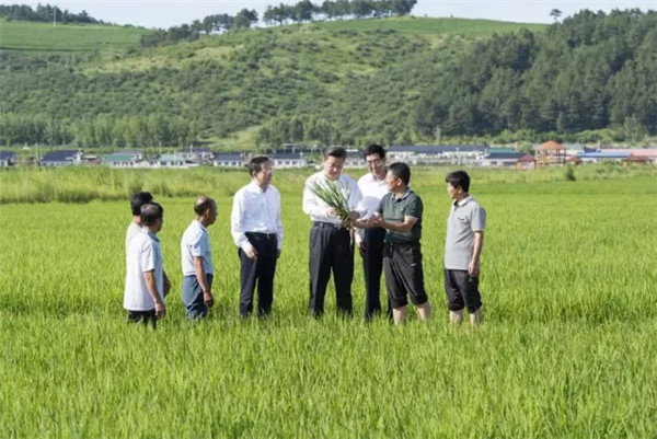 2015年，習總書記到過哪些地方？