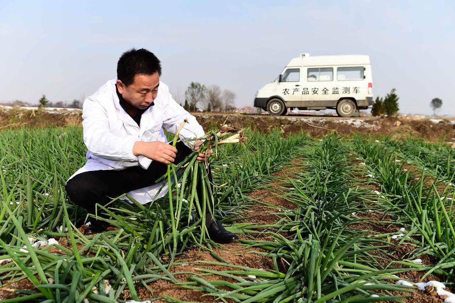 （治國理政新實踐）奮力鑄就大國民生改善新篇章——黨的十八大以來民生保障啟示