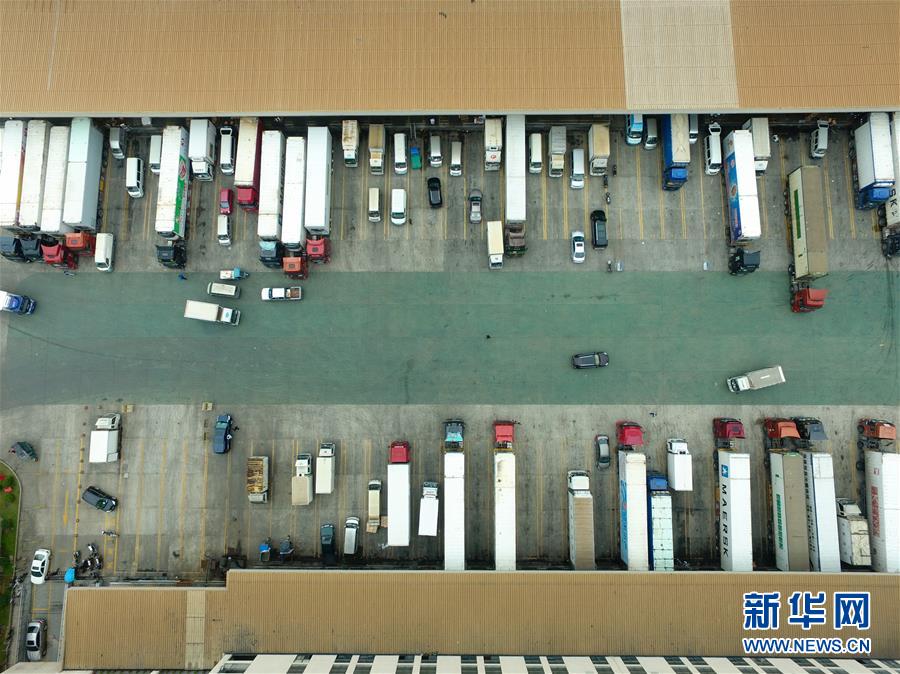 中國-東盟海產品交易所助力“一帶一路”漁業互利共榮