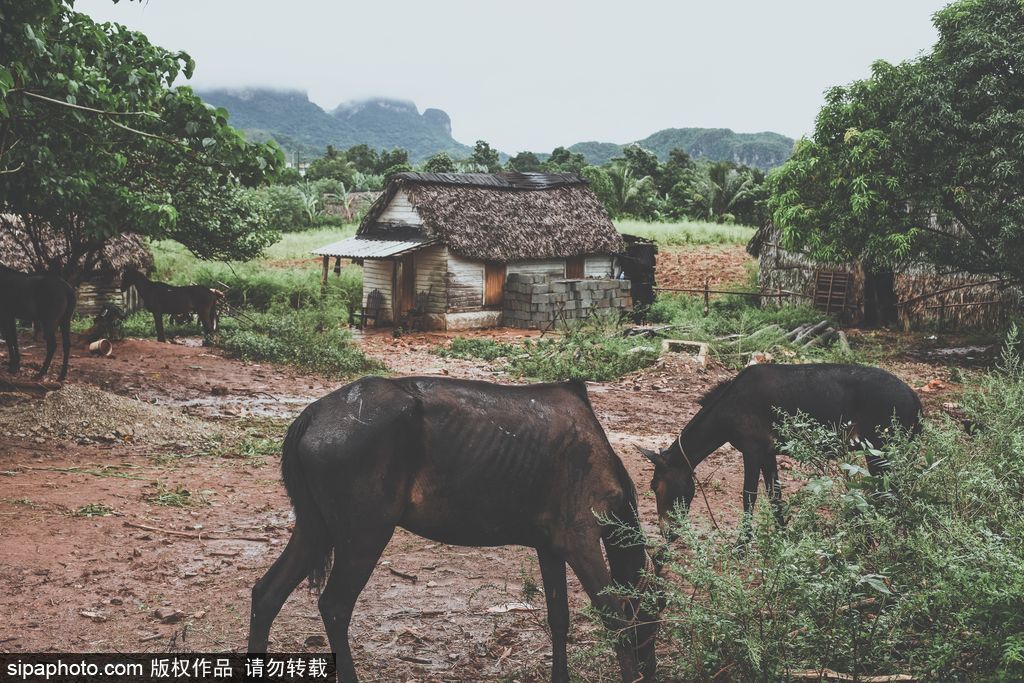 攝影師周游世界 用鏡頭記錄各國絕美風光