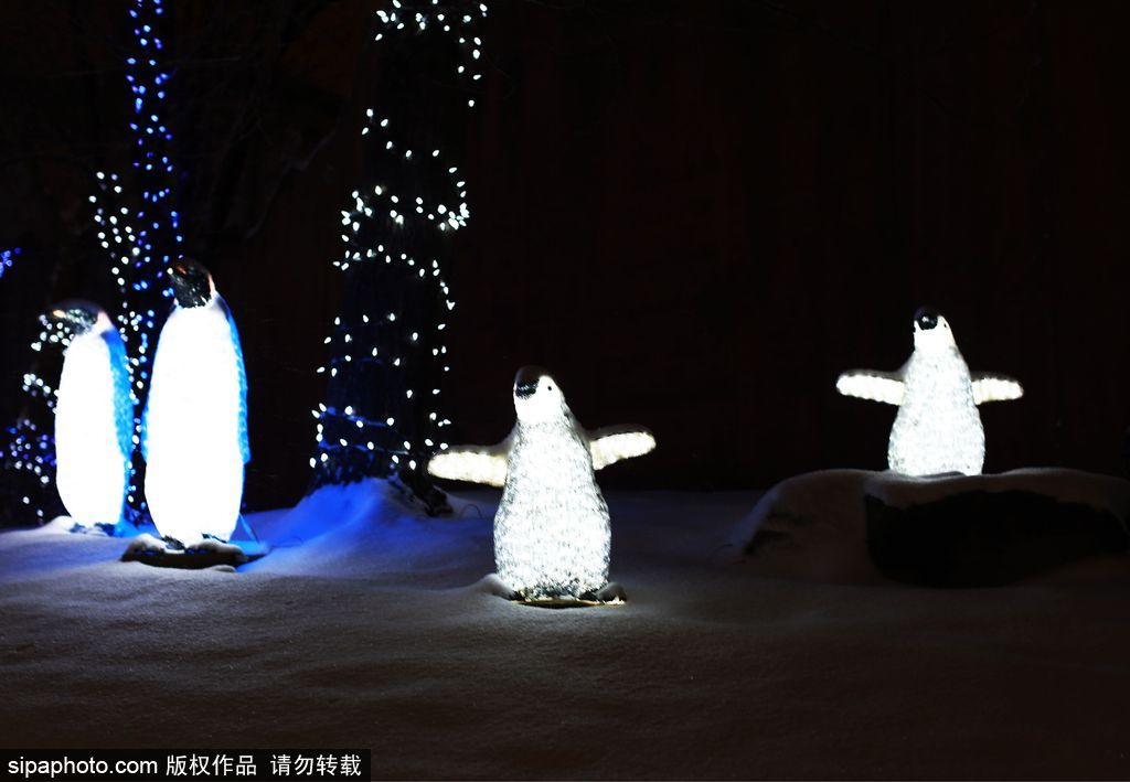 加拿大：卡爾加里公園亮起上萬彩燈迎接圣誕節 造型各異趣味十足