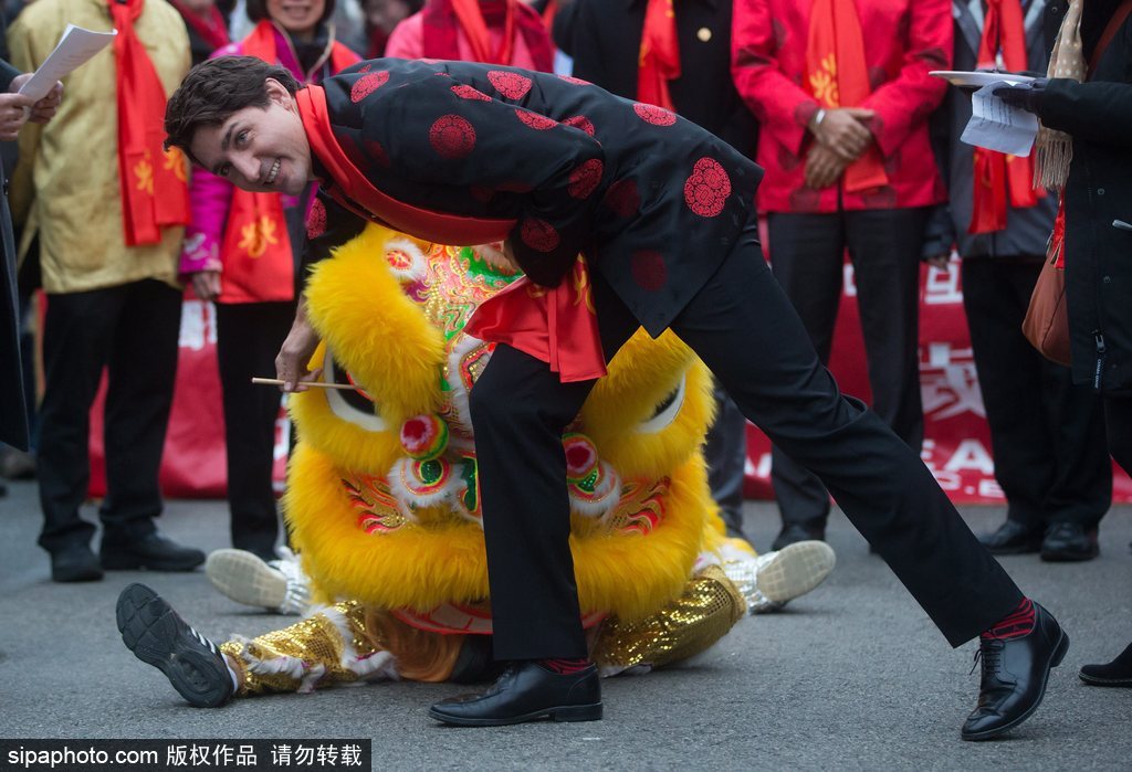 加拿大總理特魯多身著唐裝參加春節游行 撫摸舞獅頭激萌十足