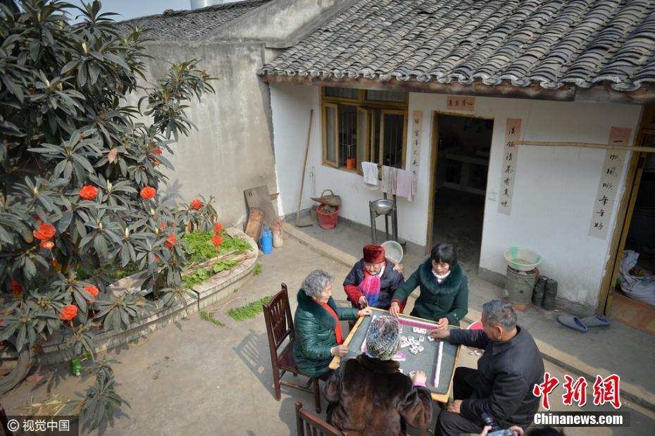 105歲老人全家共96口人 年齡相加達3850歲