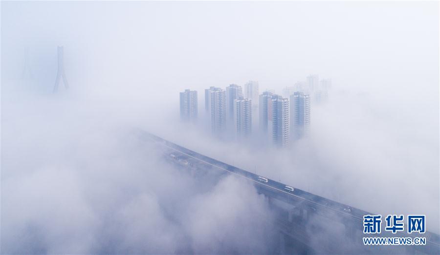 人間仙境！武漢現大霧天氣 高架橋宛如天路(組圖)