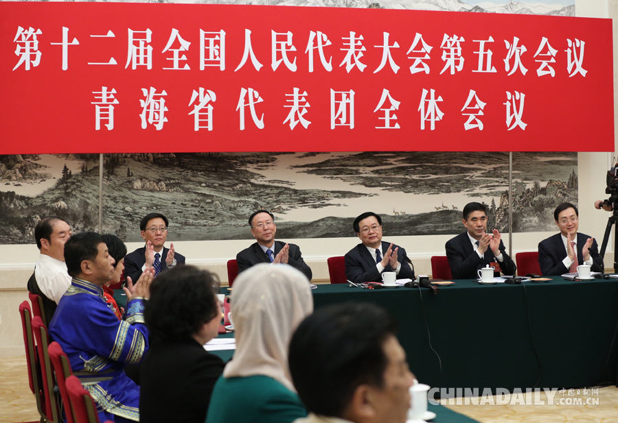 青海代表團(tuán)全體會(huì)議向媒體開(kāi)放