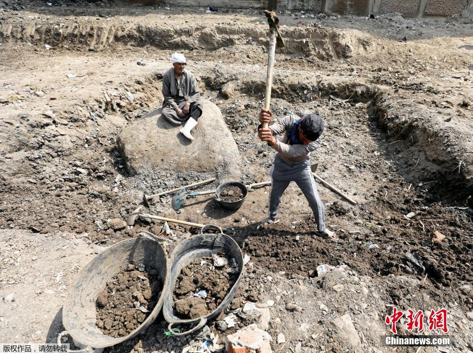 埃及貧民窟現(xiàn)3000年前法老雕像（組圖）