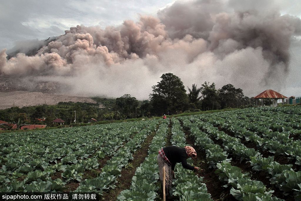 地球異域之美 盤(pán)點(diǎn)火山毀天滅地震撼瞬間