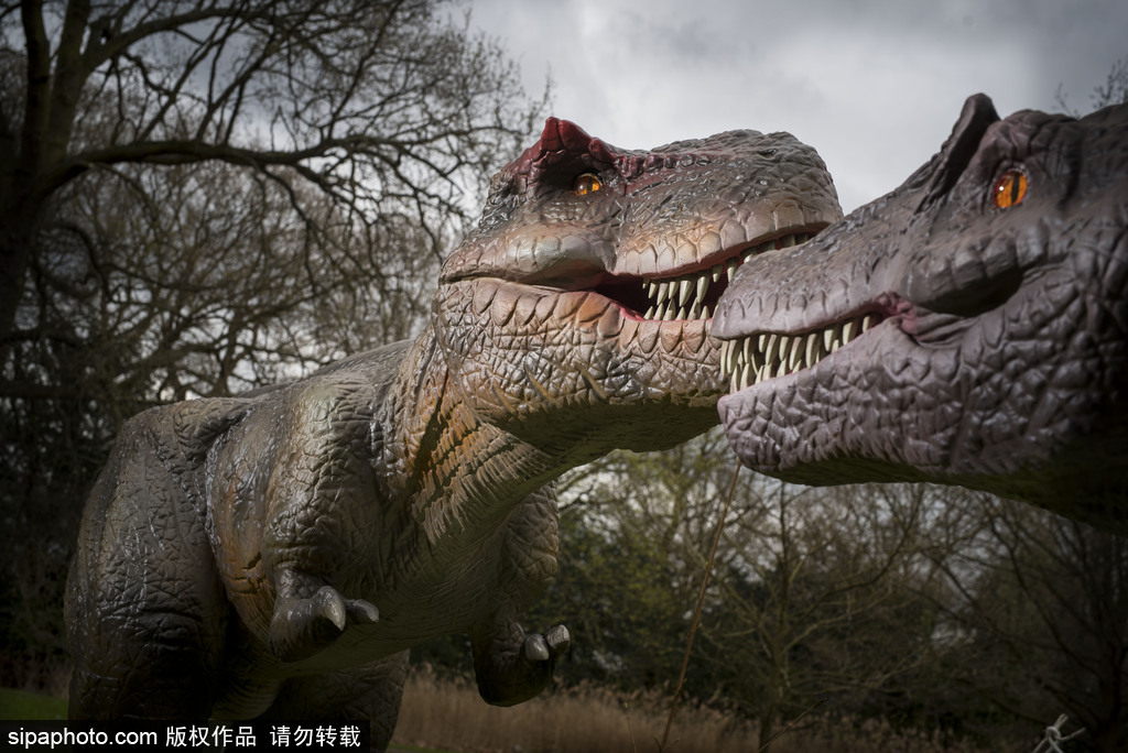 再現(xiàn)侏羅紀(jì)王國 倫敦奧斯特利公園舉辦互動恐龍模型展