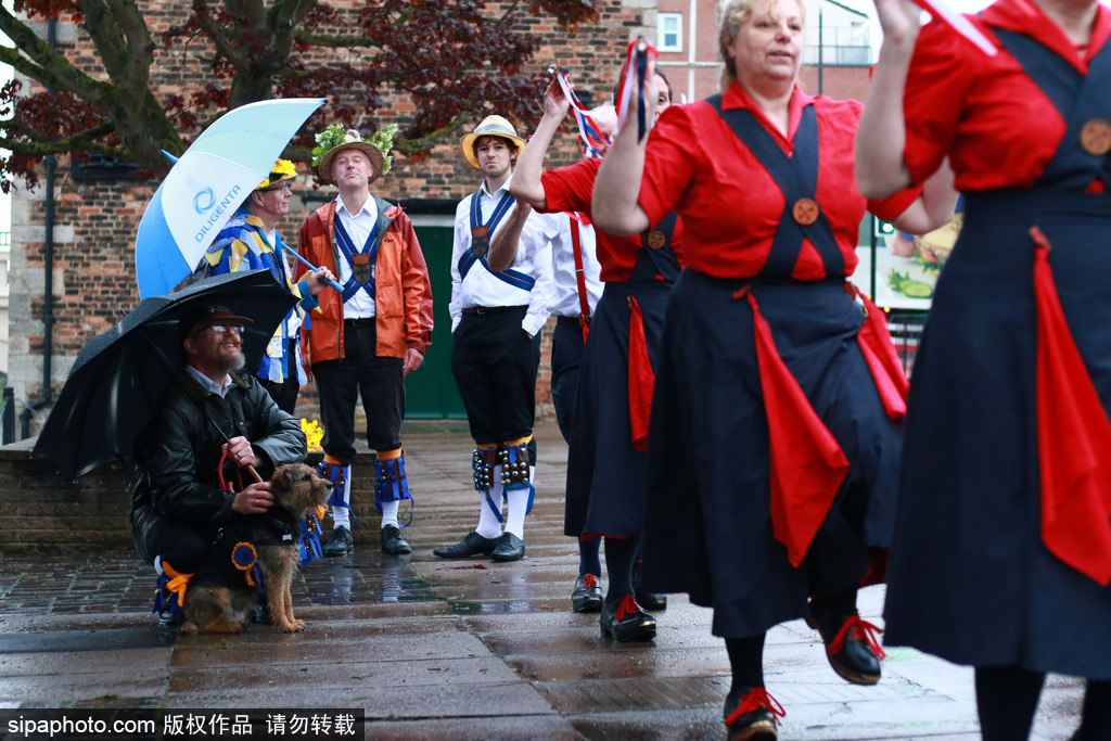 英國人的“尬舞”：彼得伯勒舉行五月節(jié)日慶典 上演傳統(tǒng)莫里斯舞