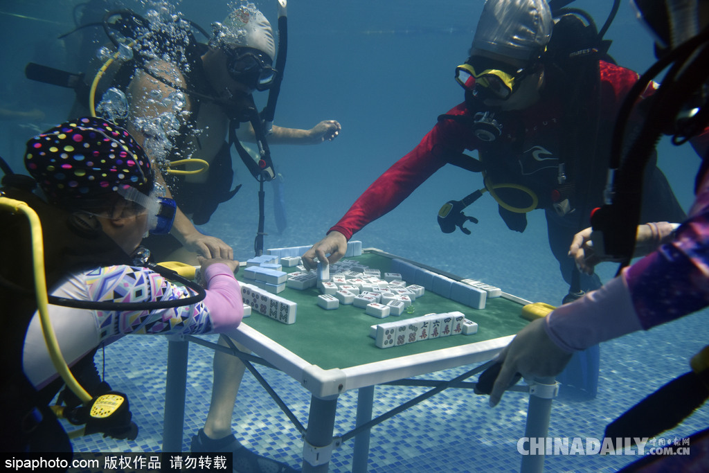 拼的就是創意 盤點水下世界趣聞不斷