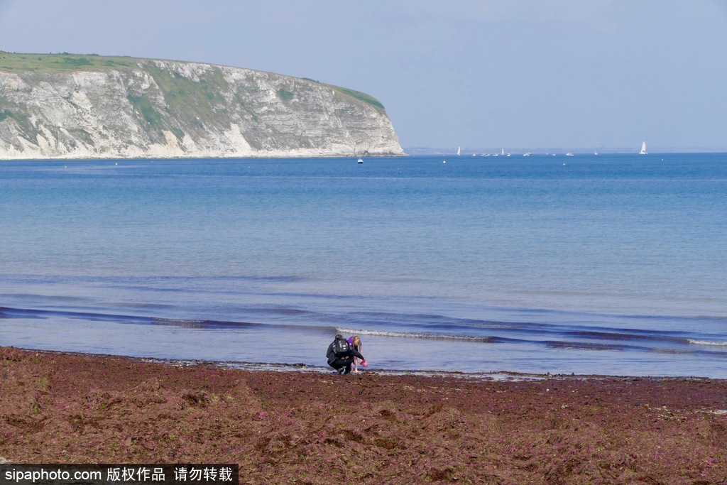 英國多塞特海邊落日 日光昏黃寧靜絕美