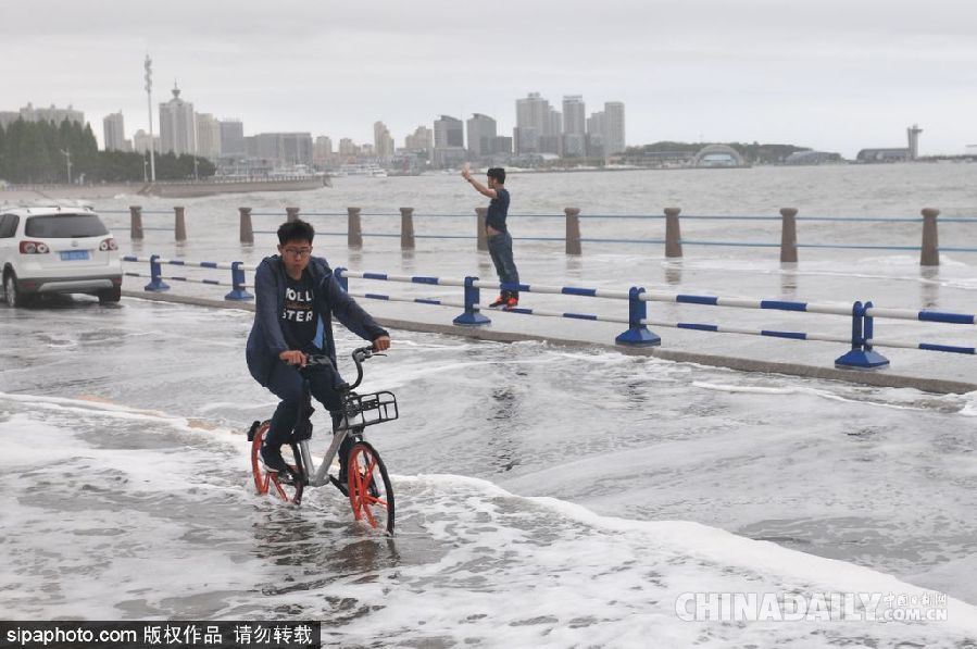 青島大潮掀10余米高巨浪 游客冒險拍照