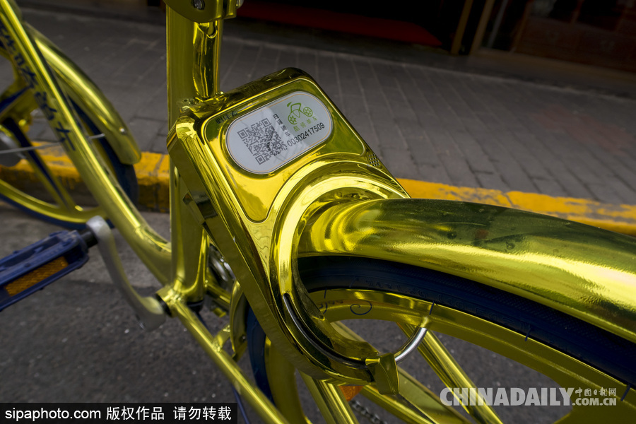 上海：共享單車顏色沒用完 酷騎土豪金配色“亮瞎眼”