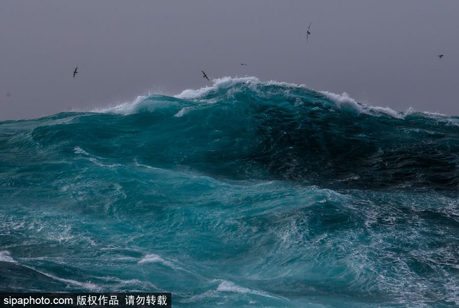 天氣太熱為眼睛“降溫” 冷色調(diào)大片帶你領(lǐng)略世界美景
