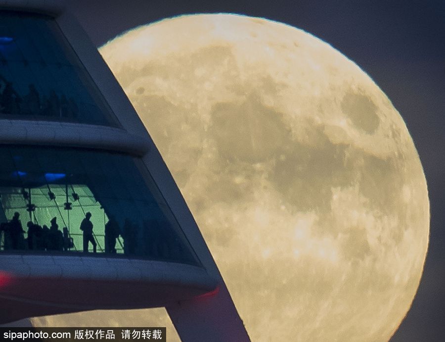 人類月球日 盤點地球視角下的明月當空