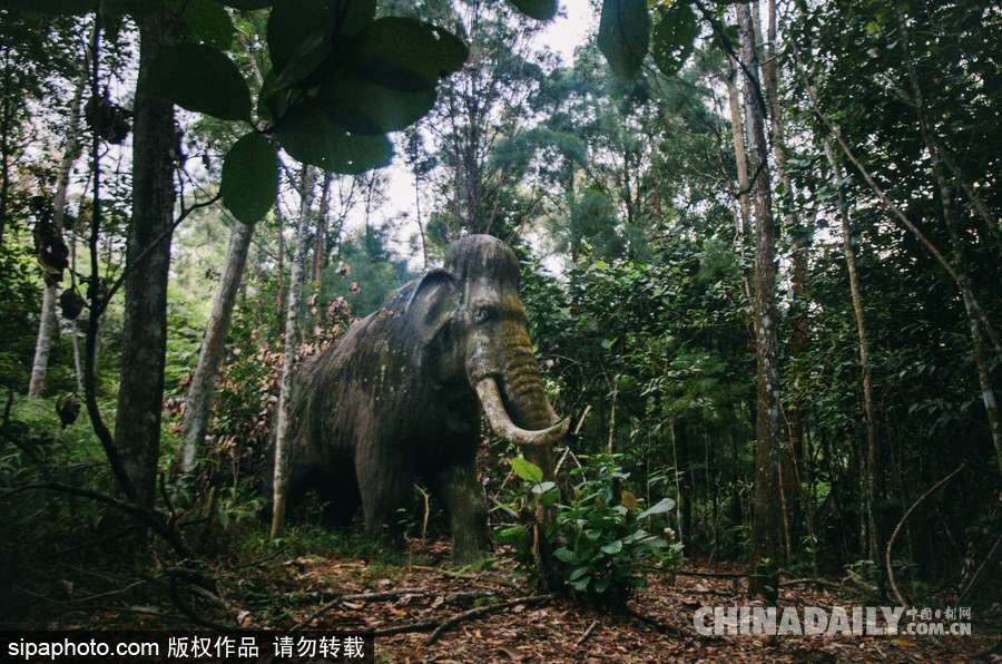 馬來西亞廢棄主題公園 似現(xiàn)實(shí)版侏羅紀(jì)公園