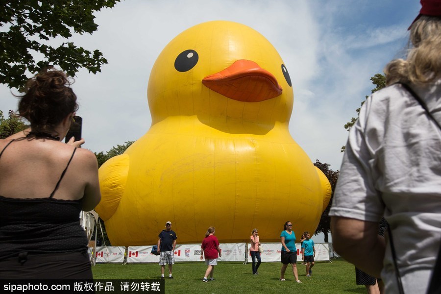 世界最大充氣大黃鴨加拿大碉堡島展出 游客爭相拍照留念