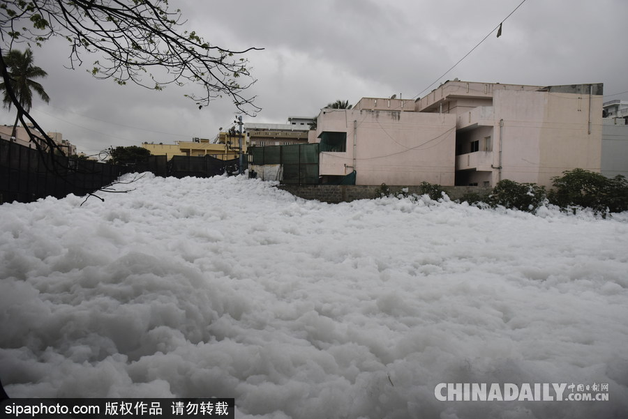 印度貝蘭杜爾湖污染嚴重 產生大量泡沫充斥街頭