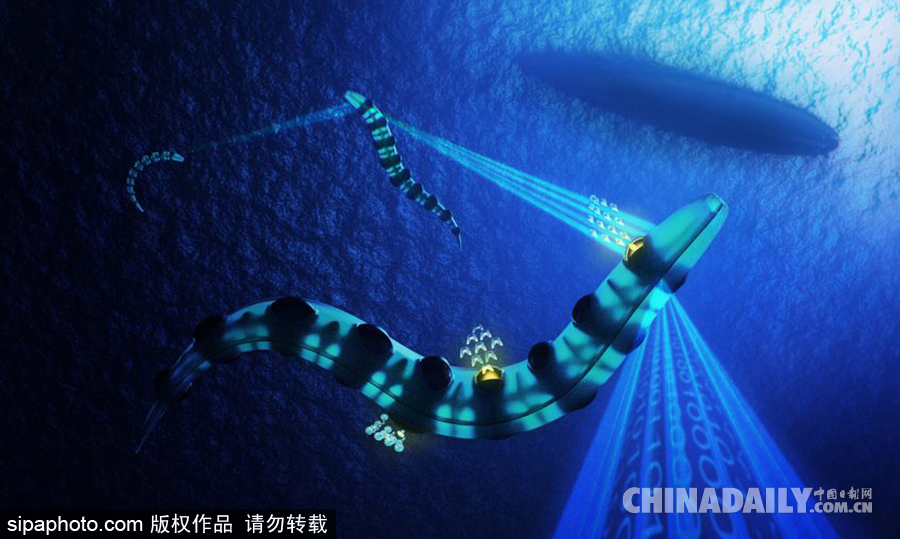 英國(guó)科學(xué)家腦洞大開 3D打印潛艇外形似鰻魚