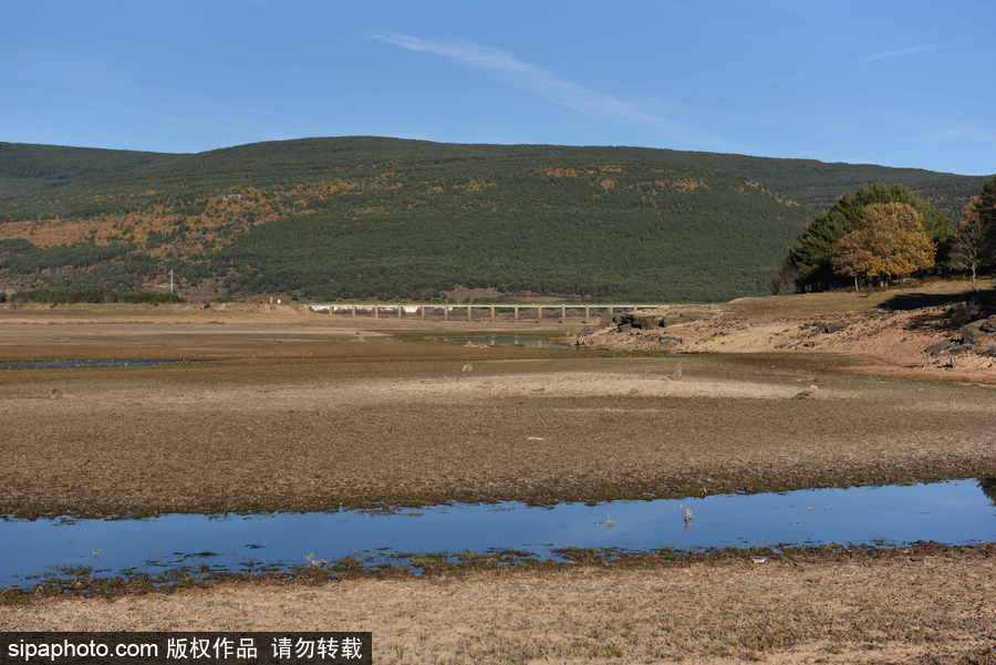 西班牙持續干旱 河流幾近干涸斷流