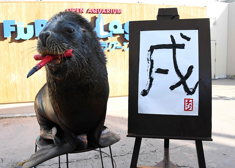 簡(jiǎn)直成精了！日本海獅嘴咬毛筆寫“戌”字迎接狗年