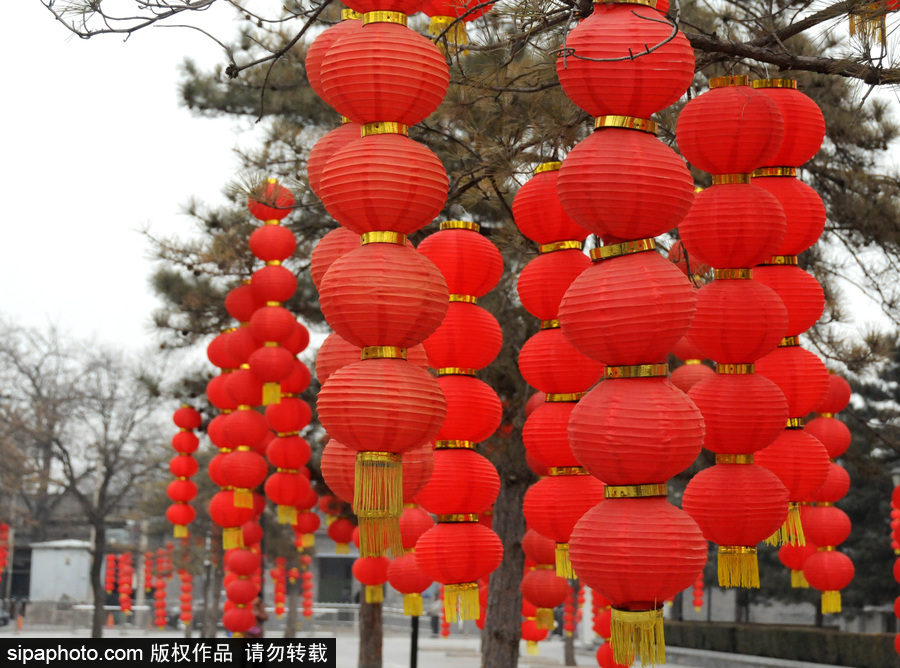 北京圓明園張燈結彩 紅火喜慶迎狗年春節