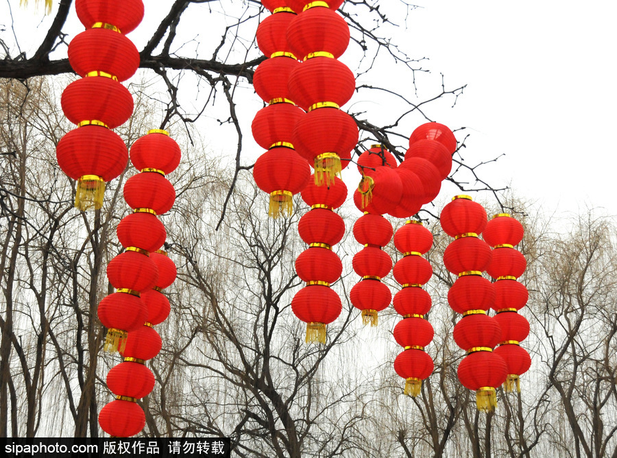 北京圓明園張燈結彩 紅火喜慶迎狗年春節