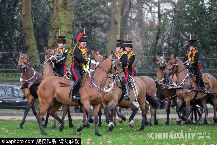 英女王登基66周年紀念 皇家騎兵炮兵團發射41響禮炮慶祝