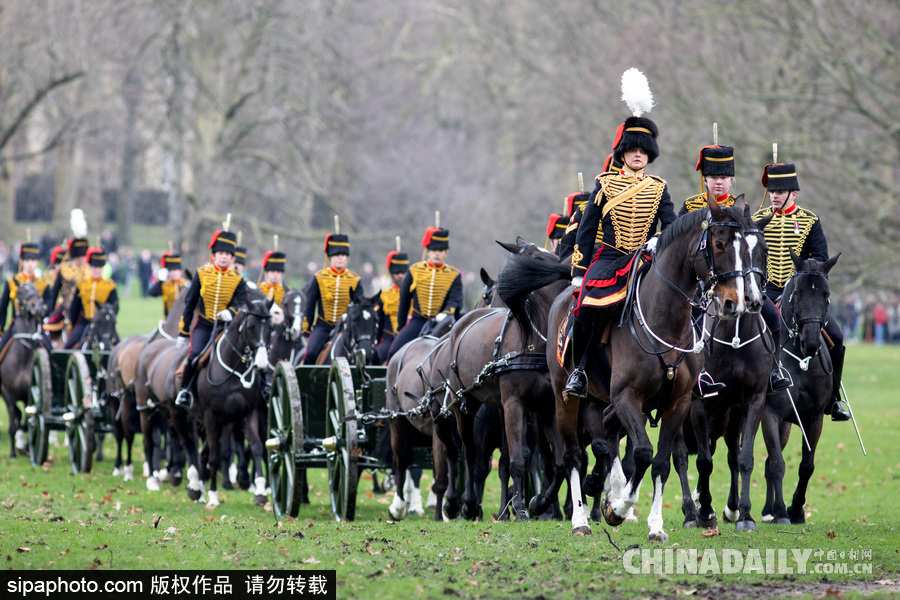 英女王登基66周年紀念 皇家騎兵炮兵團發射41響禮炮慶祝