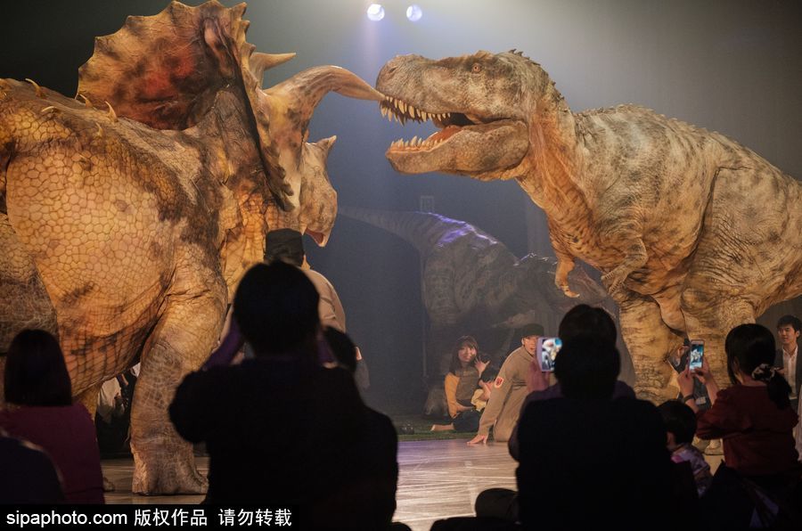 再現侏羅紀風云 日本東京“恐龍”現場表演場景震撼