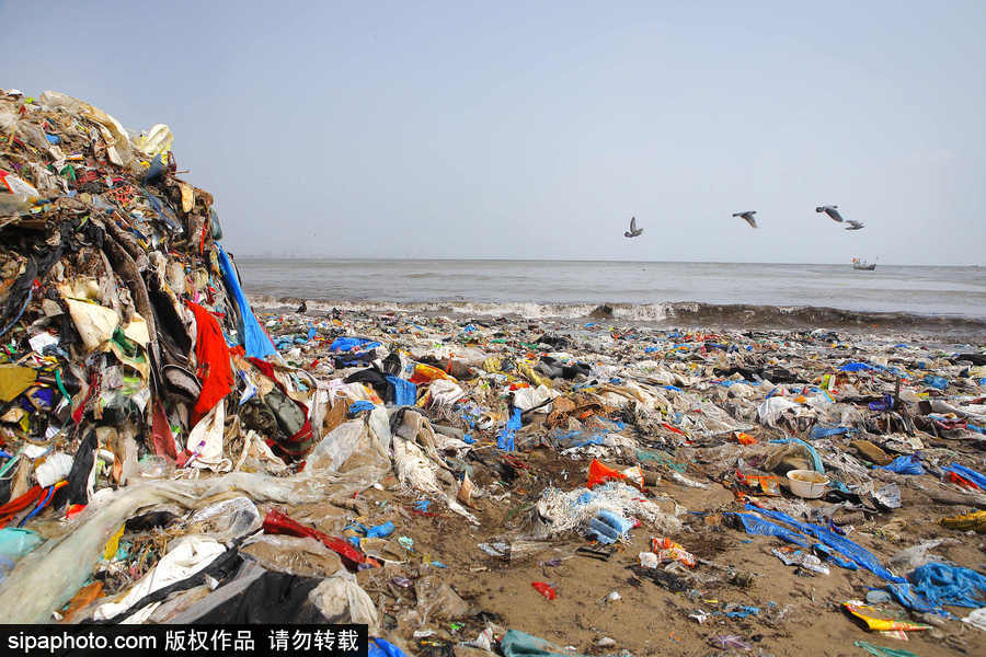 印度海灘成垃圾場 環保志愿者數年如一日堅持清理
