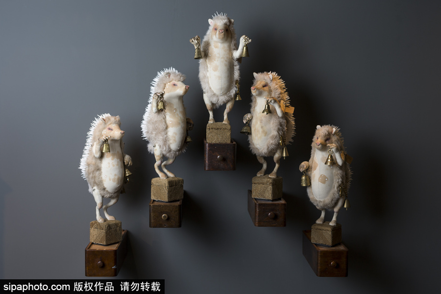 英國藝術家制作布藝動物 妙手匠心栩栩如生