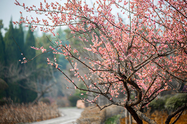 李曉萌：抵制‘文化垃圾’ 凈化網(wǎng)絡環(huán)境