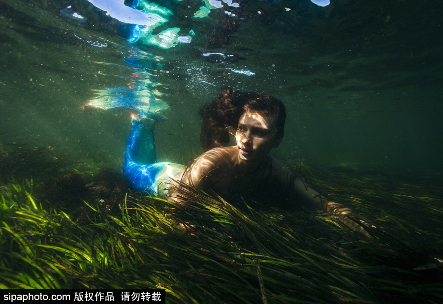 俄羅斯符拉迪沃斯托克：“美人魚”模特水中拍照再現(xiàn)童話場(chǎng)景
