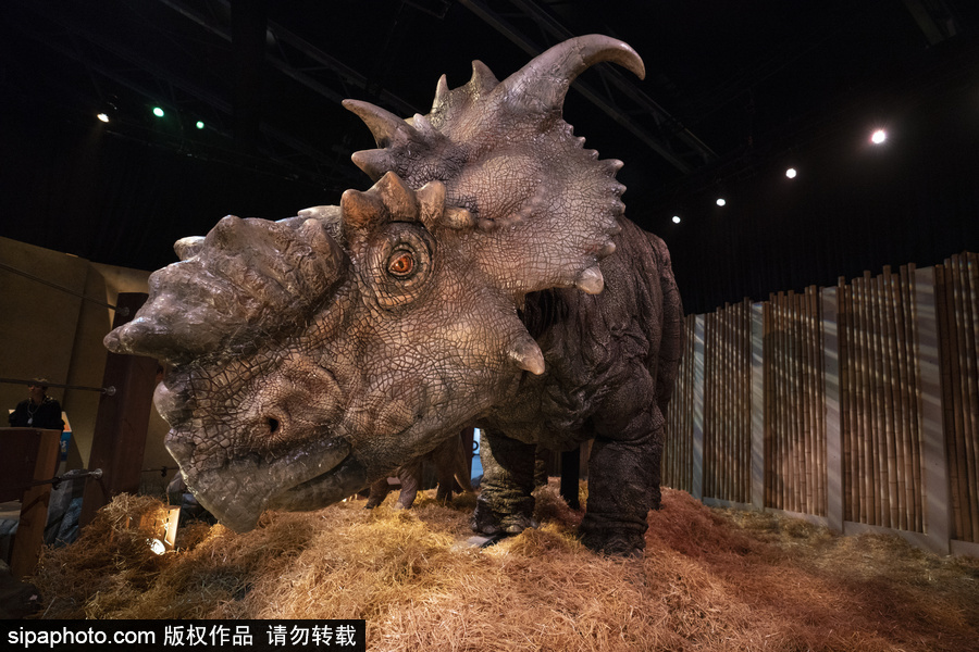 西班牙：身臨其境！《侏羅紀世界：墮落的王國》展覽在馬德里舉行