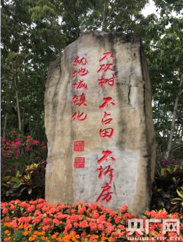 潮起海之南：特區海南，海南特色